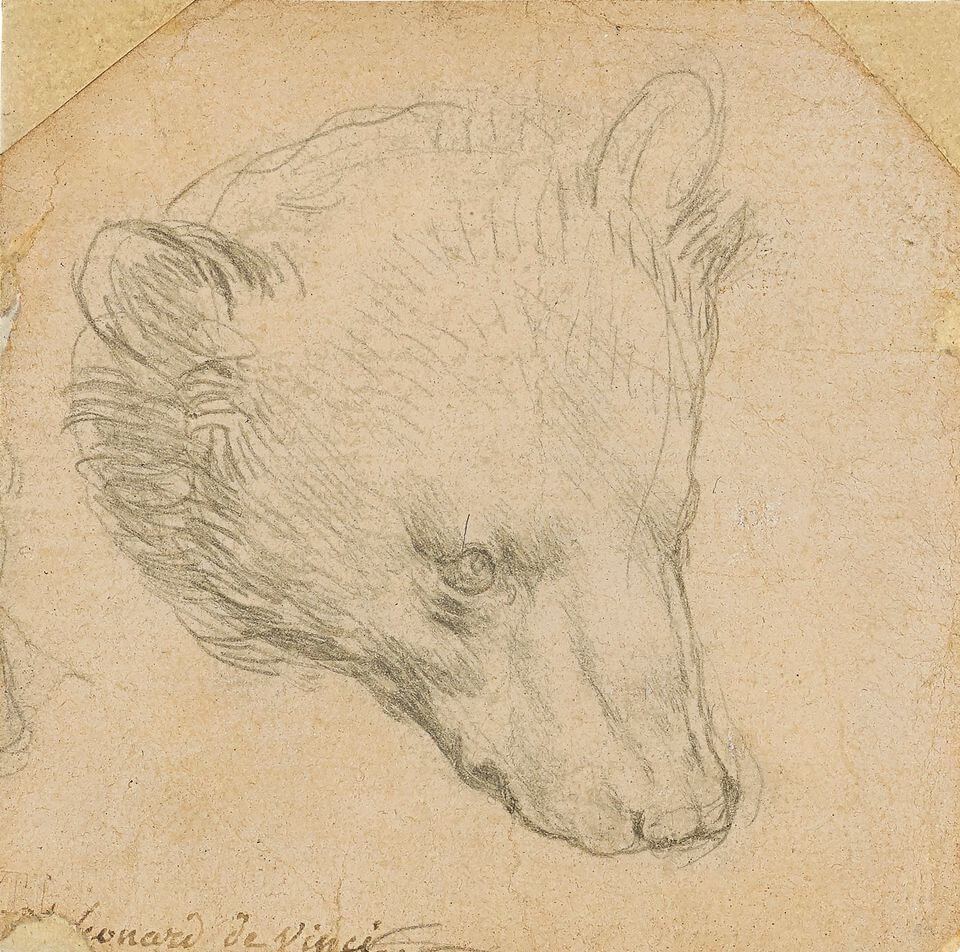 Рисунок Леонардо да Винчи за £12 млн